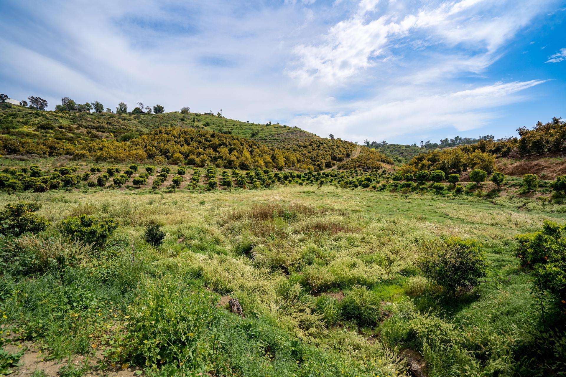 Gopher Canyon Rd, Vista, CA for sale Primary Photo- Image 1 of 1