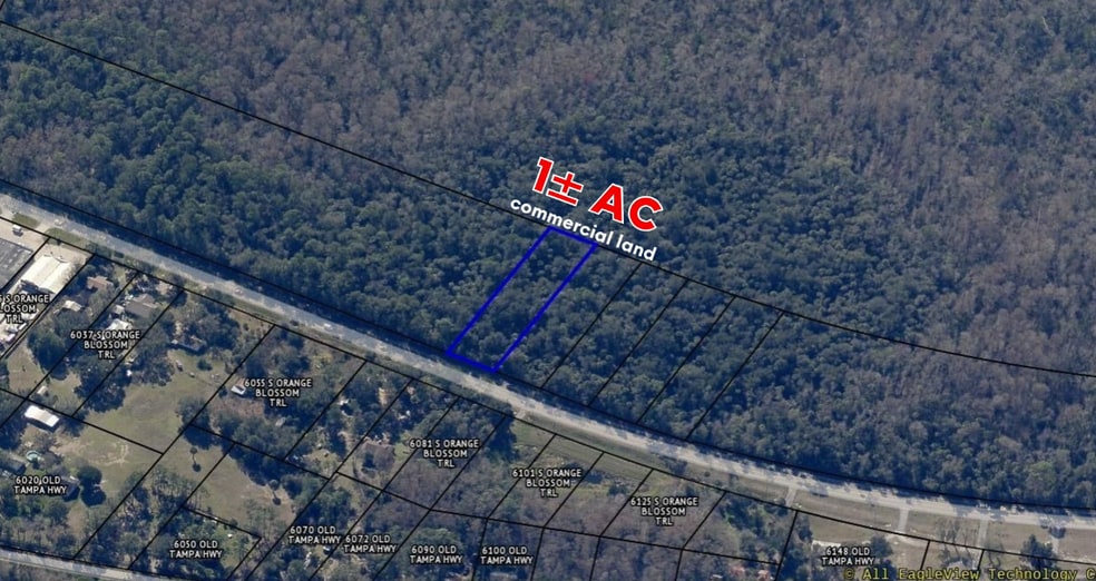 Orange Blossom Trl, Davenport, FL for sale - Aerial - Image 1 of 2