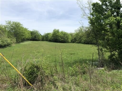 Lebanon Rd, Lebanon, TN for sale - Other - Image 3 of 5