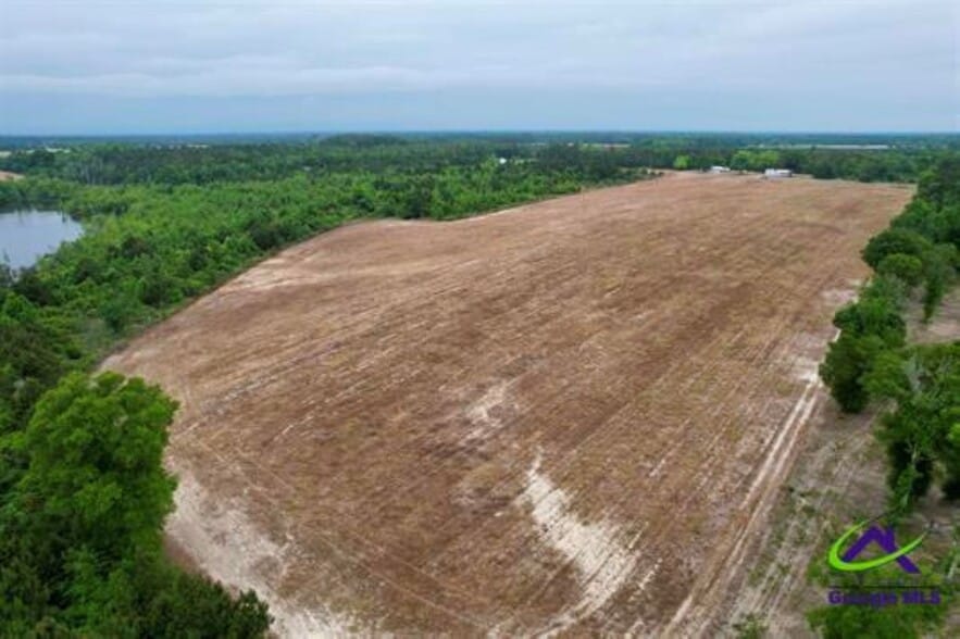Chester Alamo Hwy, Chester, GA for sale - Building Photo - Image 3 of 10