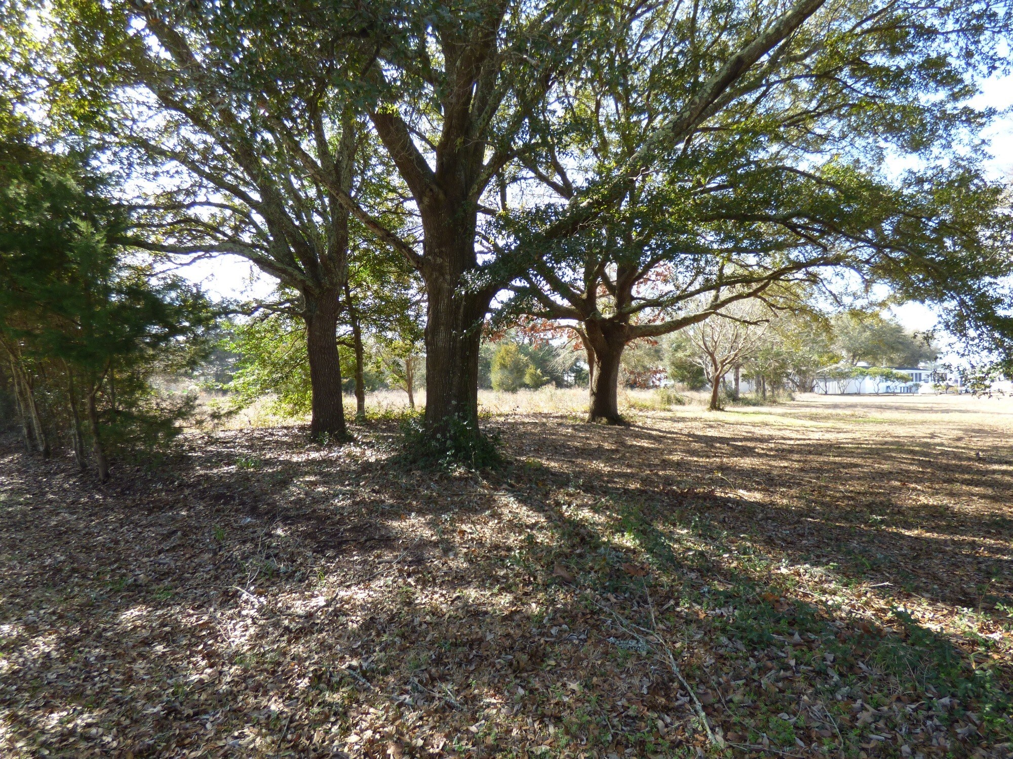 920 Cedar Point Blvd, Cedar Point, NC à vendre Autre- Image 1 de 5