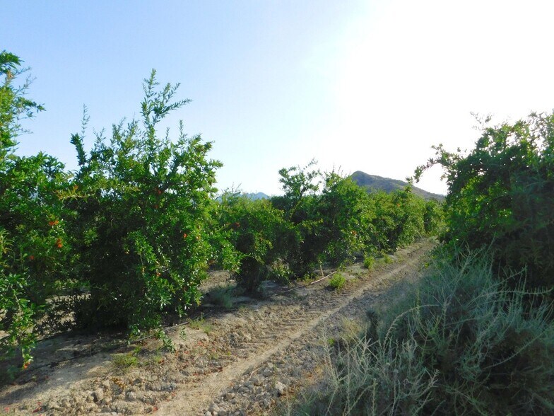 la Migracion, Orihuela, Desamparados-Hurchillo, Orihuela, Alicante for sale - Building Photo - Image 3 of 5