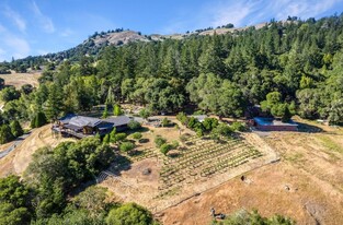 20799 Highway 128, Yorkville, CA - Vignoble