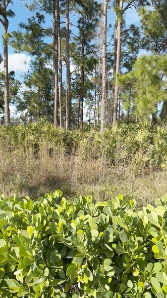 2174 NW Commerce Lakes Dr, Port Saint Lucie, FL à vendre - Vidéo sur l’inscription commerciale - Image 2 de 3