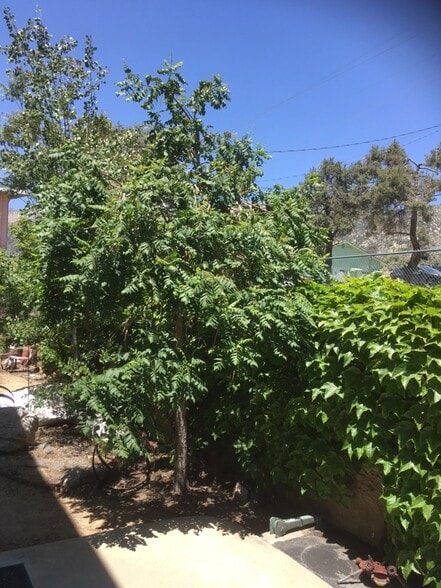 3212 Mt Pinos Way, Frazier Park, CA for sale - Building Photo - Image 3 of 32