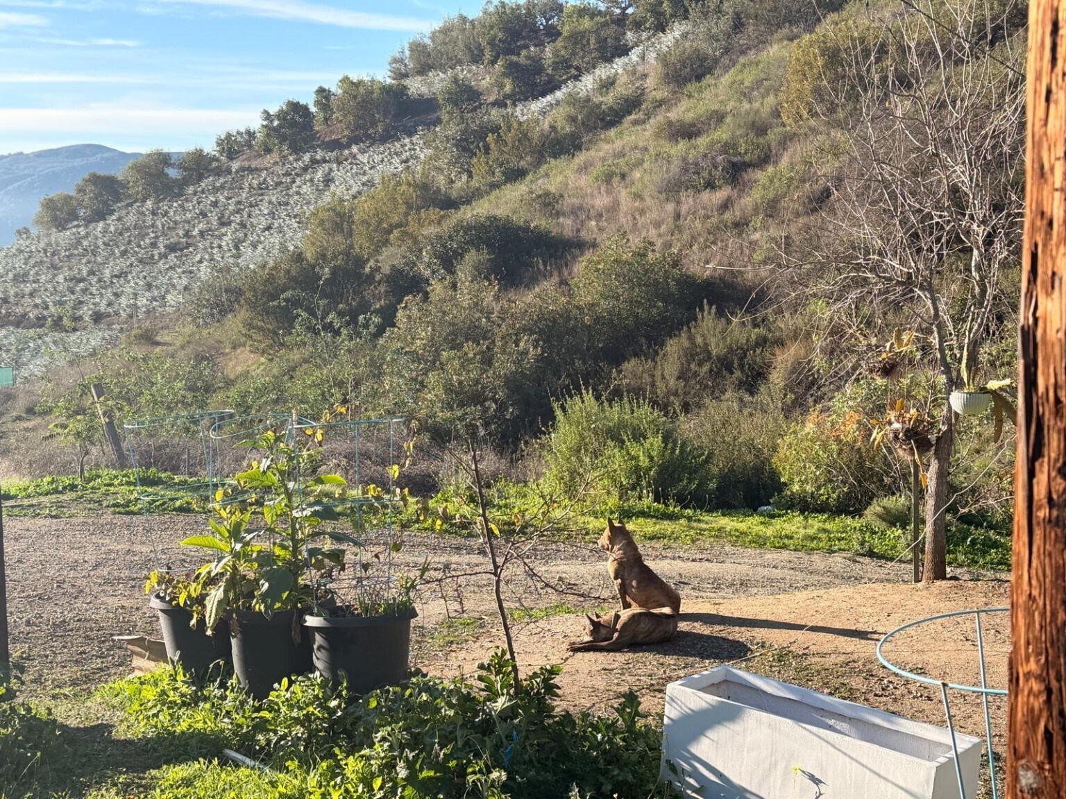 Rice Canyon rd, Fallbrook, CA for lease Primary Photo- Image 1 of 4