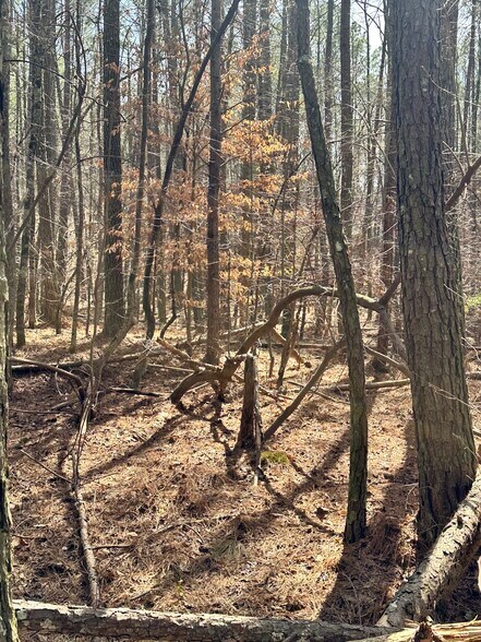 0 Autry Rd, Plainville, GA à vendre - Photo du bâtiment - Image 2 de 9