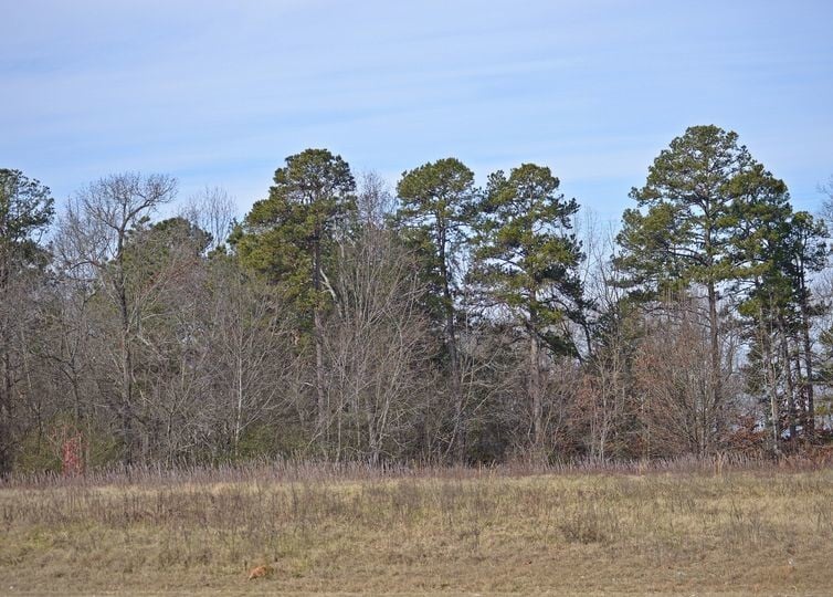 13000 S Radio Station Rd, Seneca, SC for sale - Building Photo - Image 2 of 5