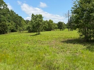 Plus de détails pour 3836 MS-43, Picayune, MS - Terrain à vendre