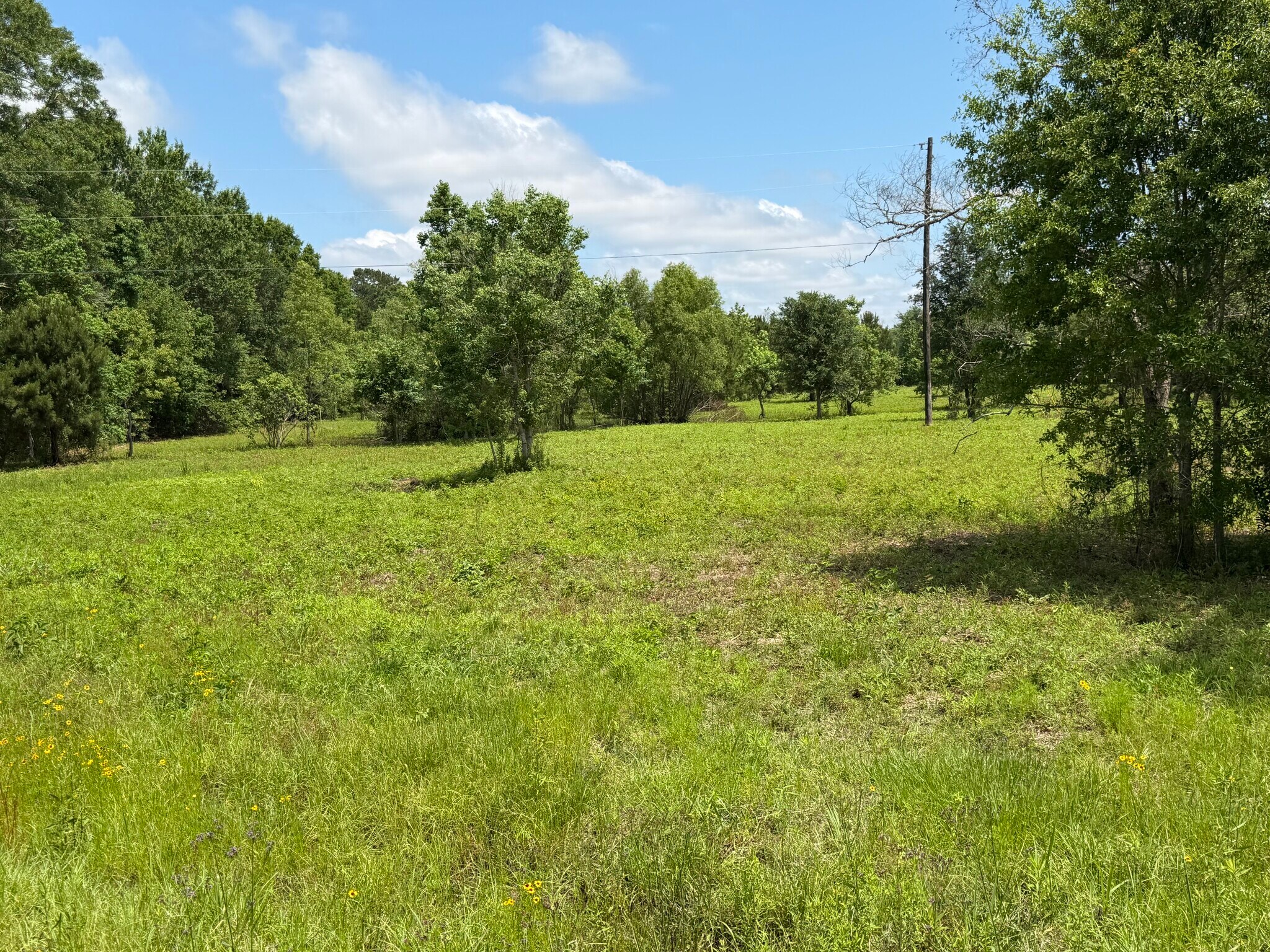 3836 MS-43, Picayune, MS for sale Primary Photo- Image 1 of 11