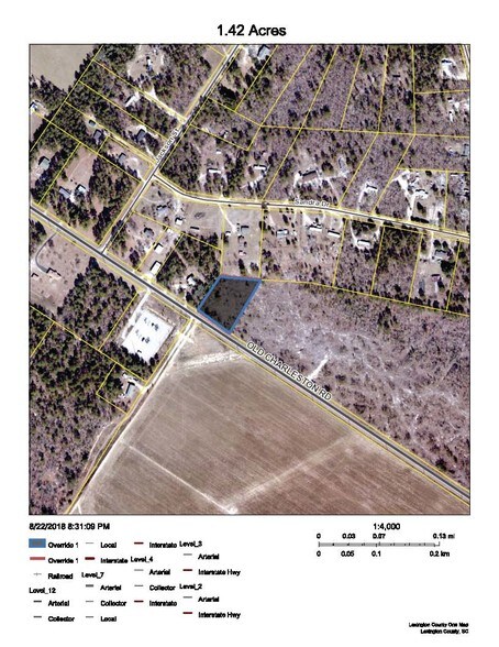 500 Old Charleston Rd, Pelion, SC à vendre - Autre - Image 3 de 14
