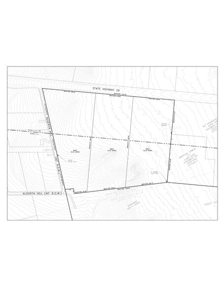 TBD Hwy 29, Burnet, TX for sale - Site Plan - Image 3 of 4