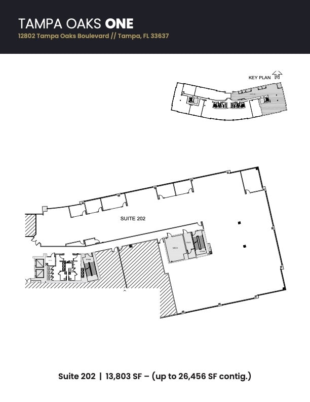 12802 Tampa Oaks Blvd, Tampa, FL for lease Floor Plan- Image 1 of 3