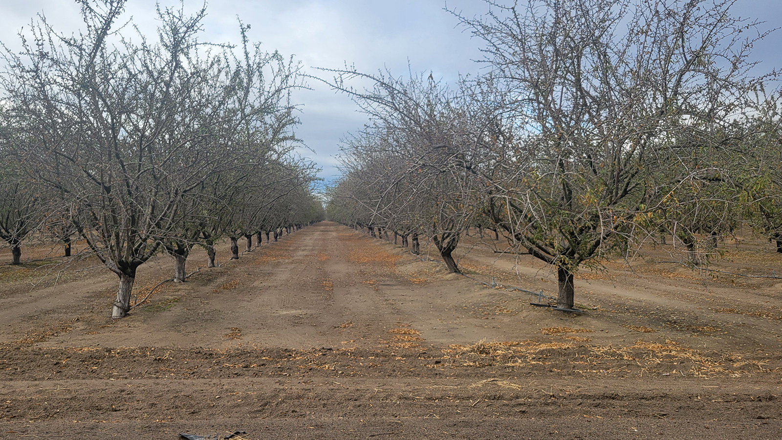 S. side of Jensen W. of S. Lake Ave. ave, Kerman, CA for sale Primary Photo- Image 1 of 4