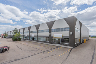 Plus de détails pour 3921 81st Ave, Leduc, AB - Industriel à louer