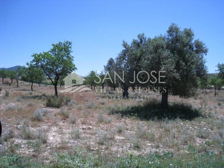 Land in Hondón de los Frailes, Alicante for sale - Primary Photo - Image 1 of 1
