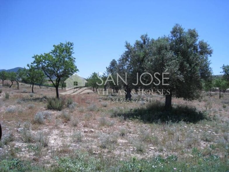 Land in Hondón de los Frailes, Alicante for sale - Primary Photo - Image 1 of 1