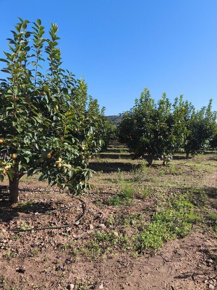 Land in València, Valencia for sale - Primary Photo - Image 3 of 6