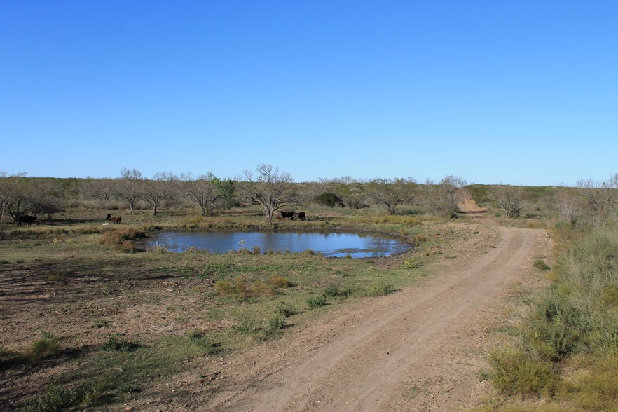 10333 FM 2779, Pearsall, TX à vendre - Photo principale - Image 1 de 1