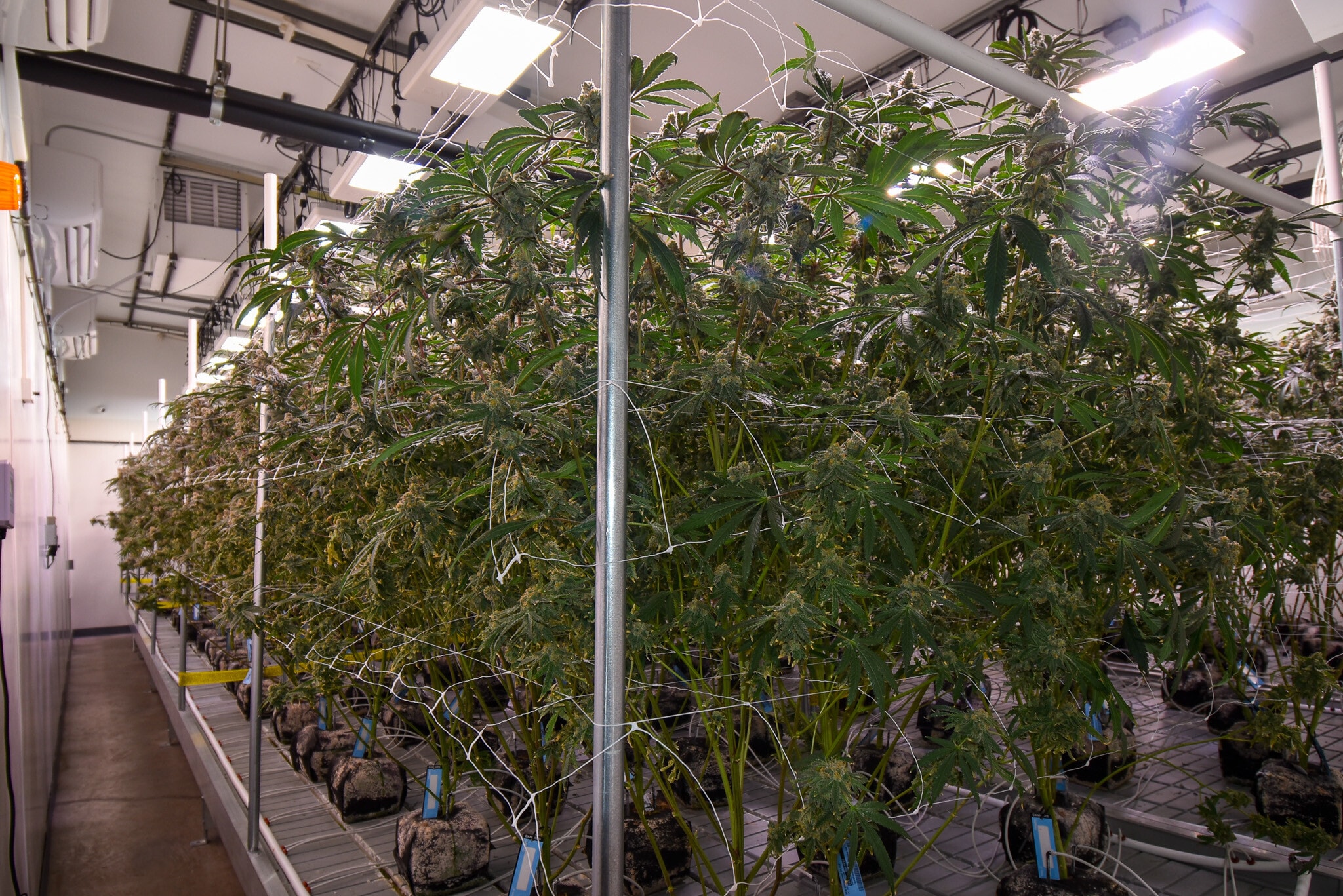 3241 Needles Hwy, Needles, CA à louer Photo intérieure- Image 1 de 8