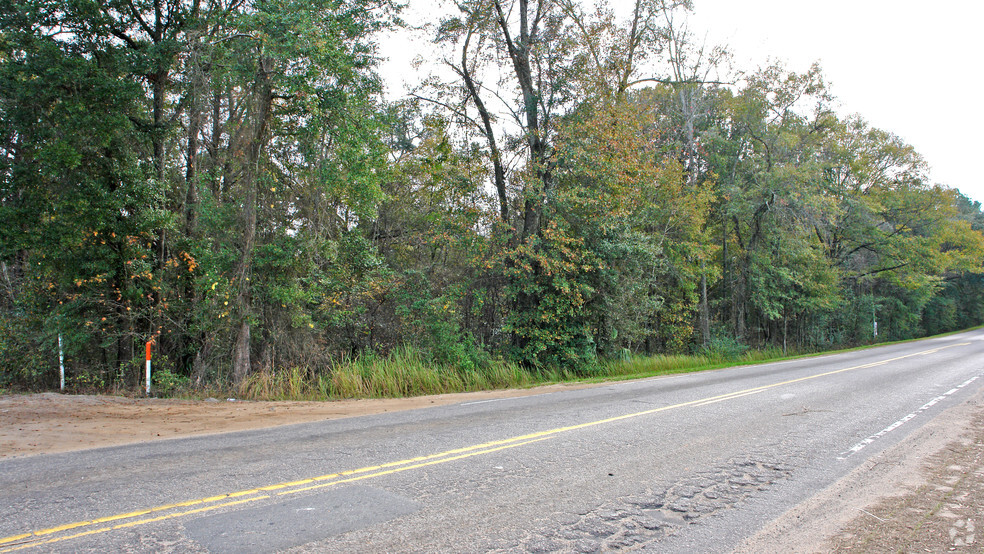 Aenon Church Rd, Tallahassee, FL à vendre - Photo principale - Image 1 de 1