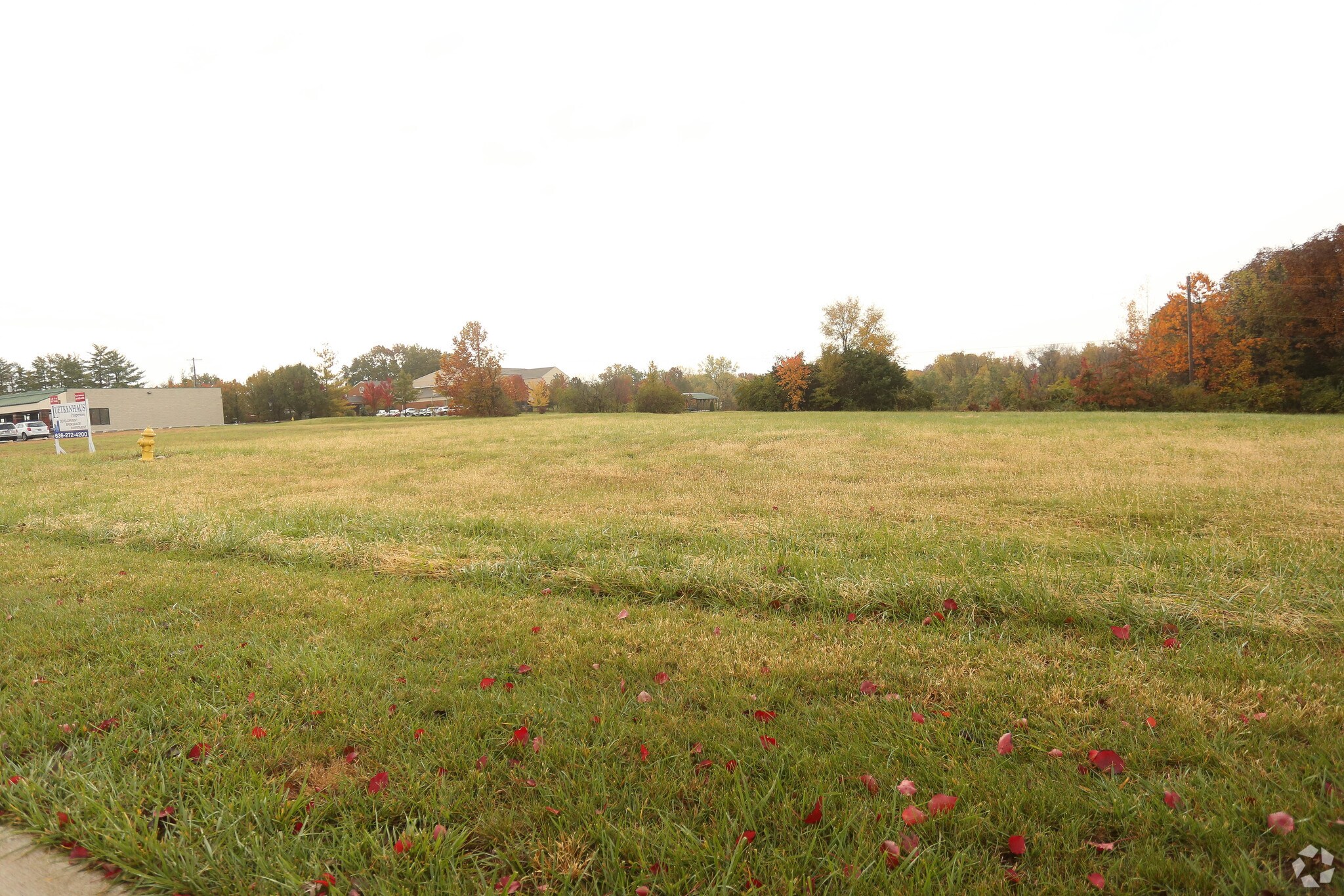 1023 Main Plaza Dr, Wentzville, MO à vendre Photo principale- Image 1 de 4