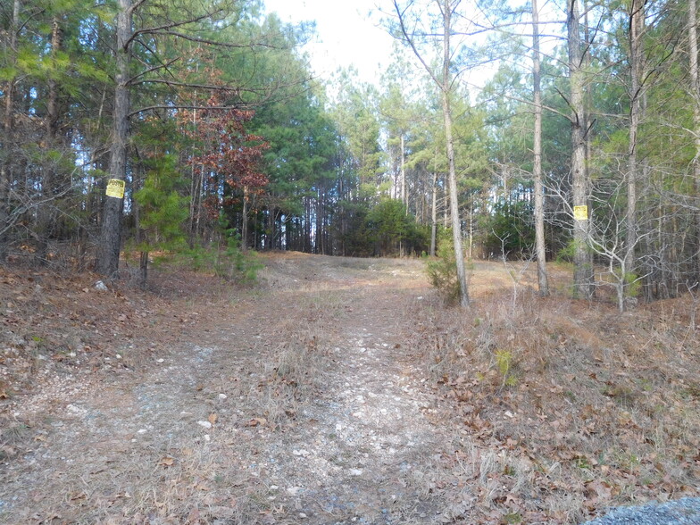 TBD Tanner Road, Smyrna, SC for sale - Building Photo - Image 2 of 4