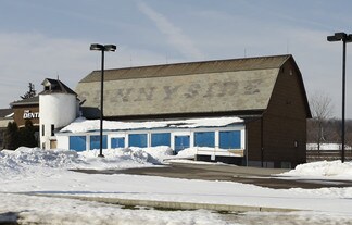 Plus de détails pour 7892 Broadview Rd, Cleveland, OH - Commerce de détail, Industriel à louer