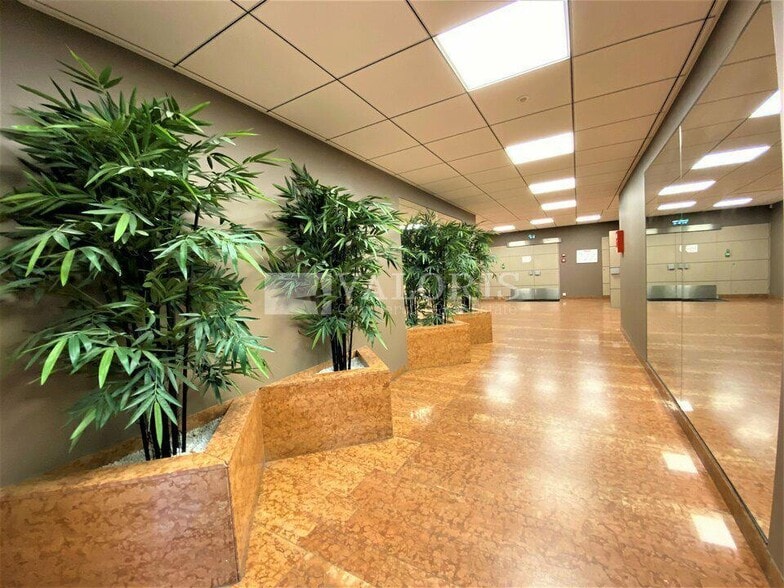 Office in Lyon for lease - Lobby - Image 3 of 3