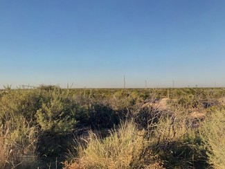 More details for 000 CR 2545, Coyanosa, TX - Land for Sale