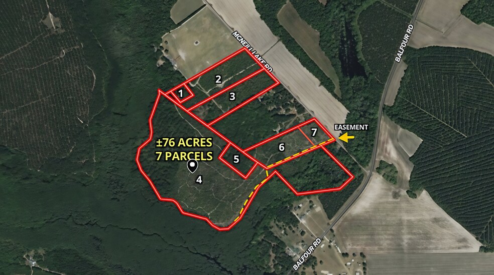 McNeill Lake Rd, Lumber Bridge, NC à vendre - Aérien - Image 2 de 10