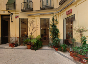 Calle del Conde de Romanones, 5, Madrid, Madrid for lease Interior Photo- Image 2 of 2