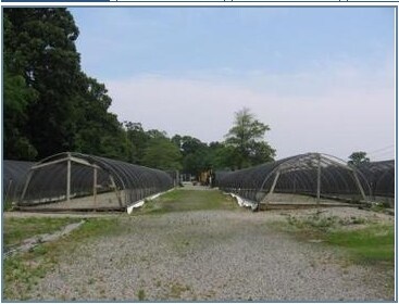 211 Burrs Ln, Dix Hills, NY à vendre Photo principale- Image 1 de 2