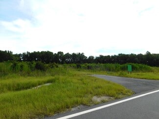 Plus de détails pour 0000 Bell, Lake City, FL - Terrain à vendre