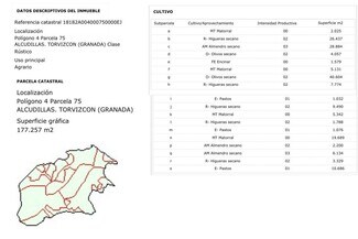 More details for Paraje 346 Yeseras, 4, Torvizcón - Land for Sale