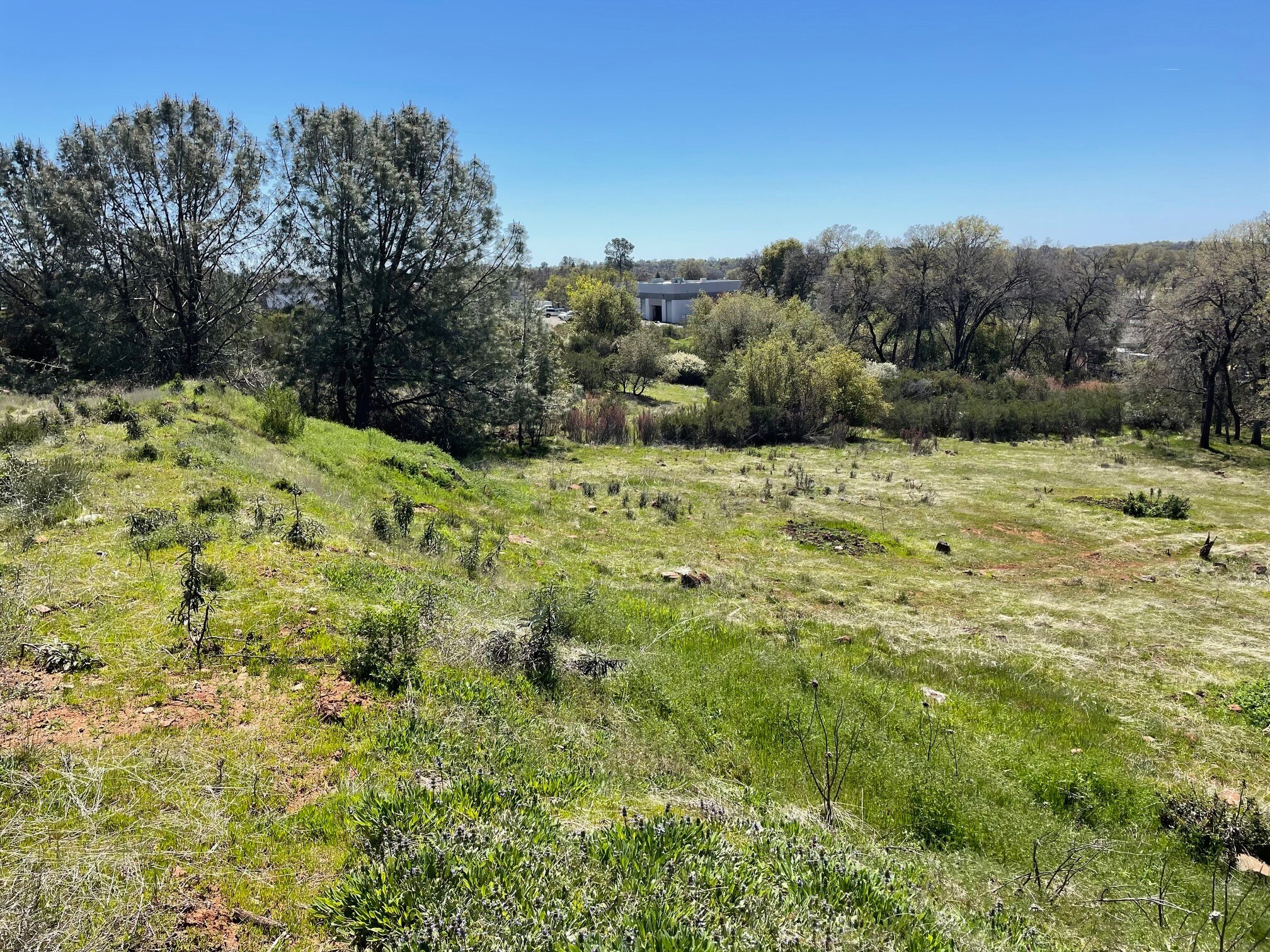 4220 Business Dr, Shingle Springs, CA for sale Other- Image 1 of 7