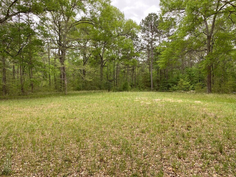 1700 Little John Street, Montgomery, TX for sale - Building Photo - Image 2 of 17