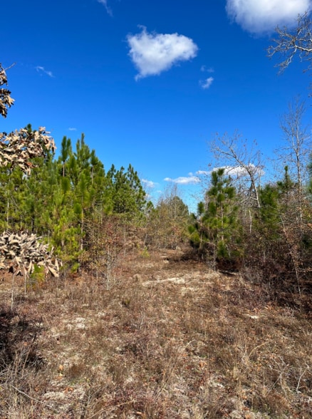 S Main St, Gaston, SC for sale - Other - Image 3 of 6