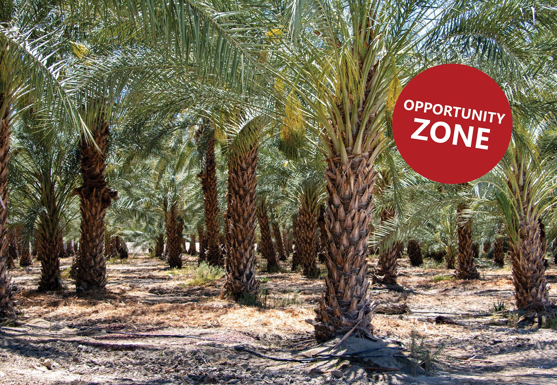 92745 84th Ave, Thermal, CA for sale Building Photo- Image 1 of 44