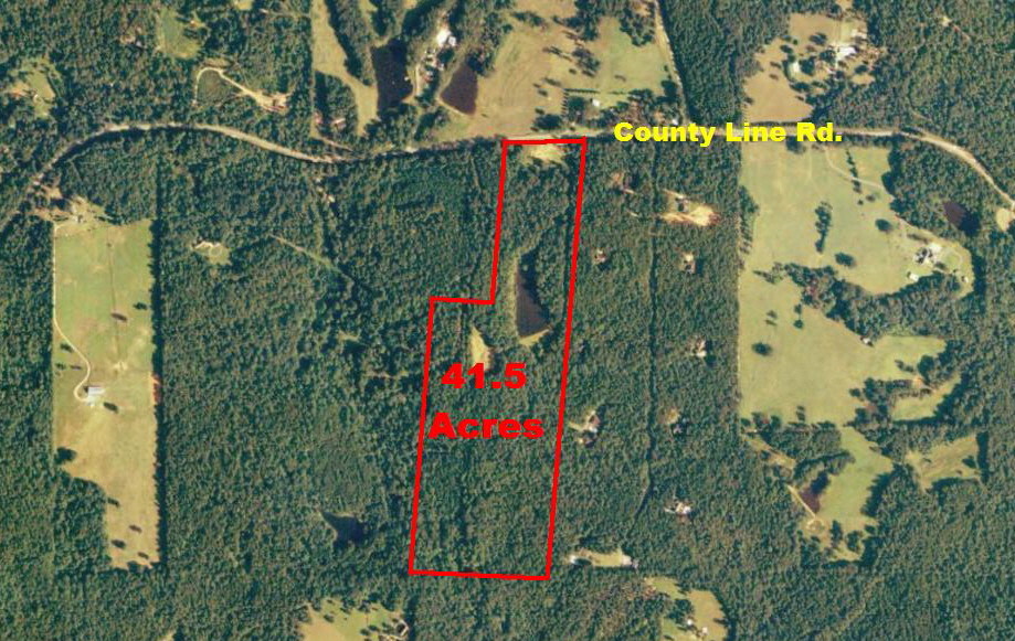 11160 County Line Rd, Midland, GA for sale - Other - Image 1 of 1