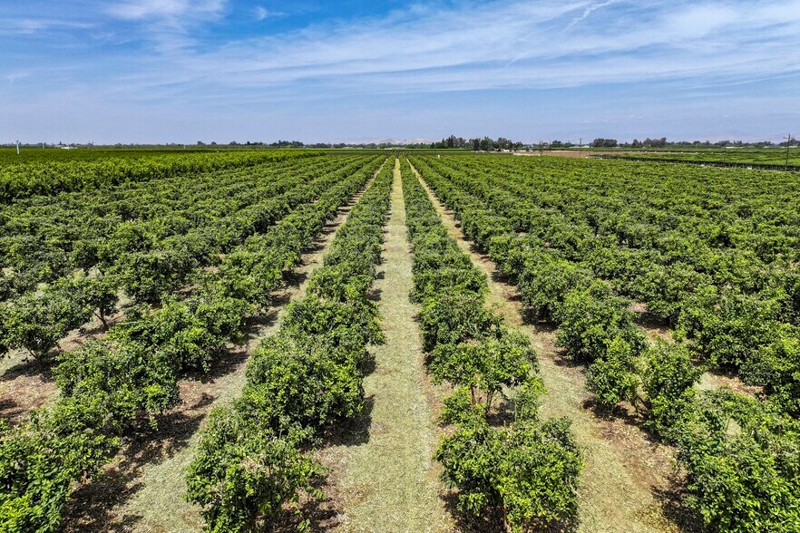 Road 176, Exeter, CA à vendre - Photo du bâtiment - Image 2 de 21