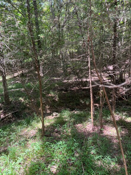 000 Old Goldmine Rd, Marshville, NC à vendre - Photo du bâtiment - Image 2 de 2