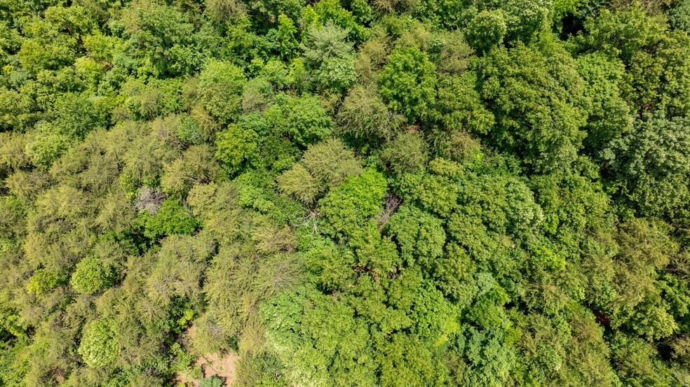 1981 Jamestown Rd, Morganton, NC à vendre - Photo du bâtiment - Image 3 de 19