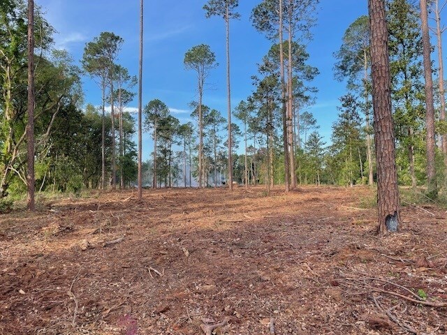 1408 Us 82 W, Leesburg, GA à vendre - Photo du bâtiment - Image 3 de 7
