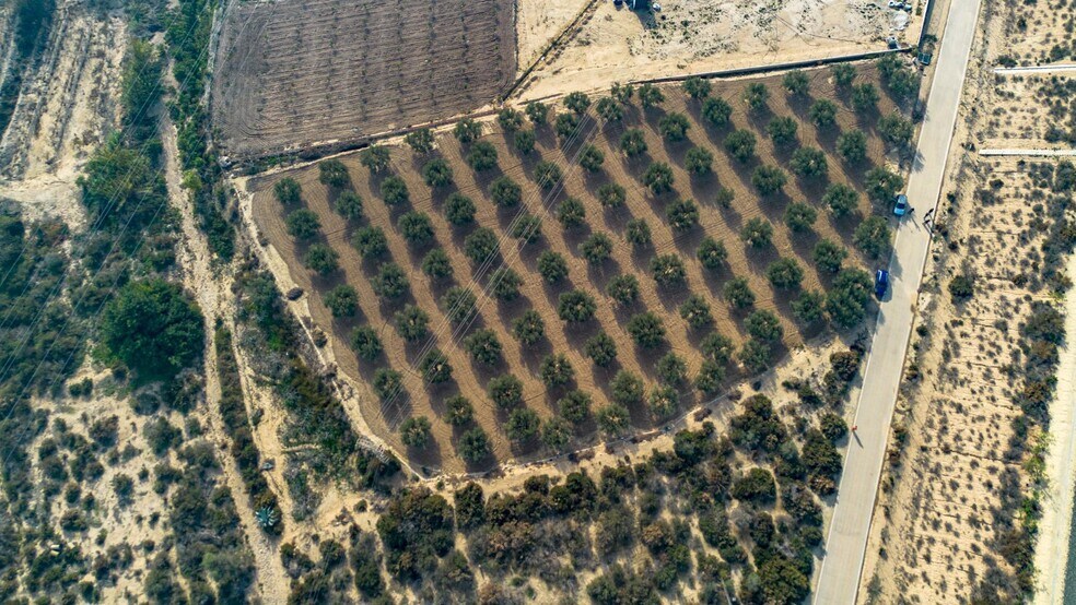 Parcela, 16, Crevillent, Alicante à vendre - Photo du bâtiment - Image 3 de 7