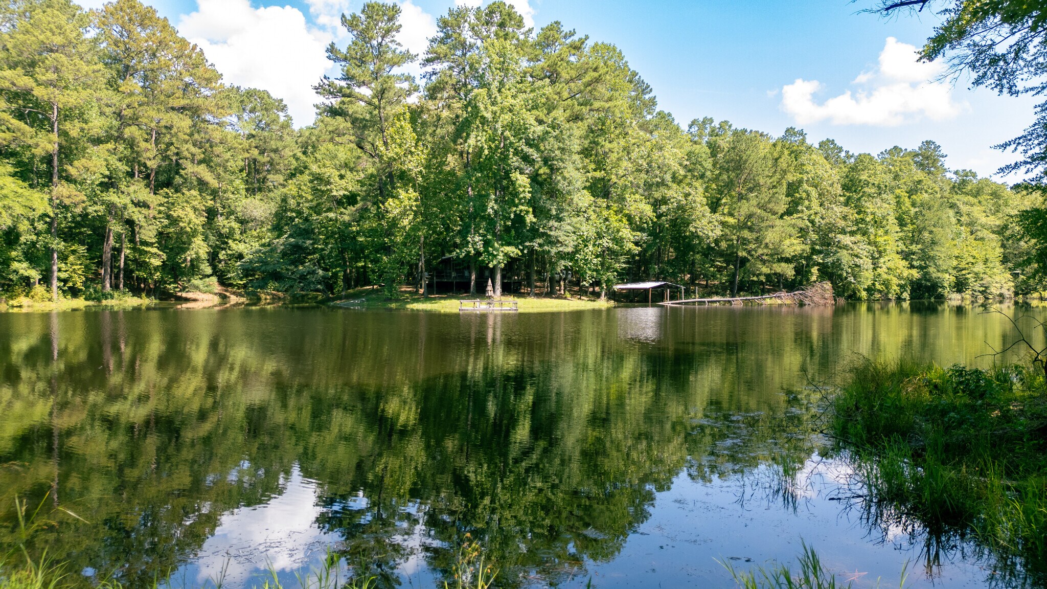 17796 Dry Branch loop, Northport, AL for sale Other- Image 1 of 94