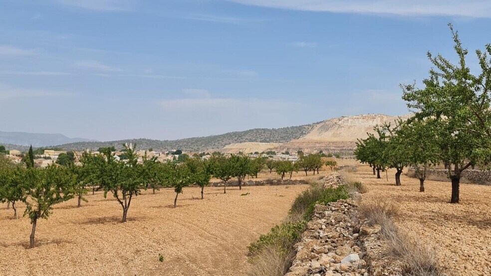 Terrain dans Algueña, Alicante à vendre - Aérien - Image 3 de 8