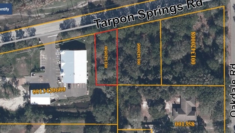 Tarpon Springs Rd, Odessa, FL for sale - Aerial - Image 1 of 1