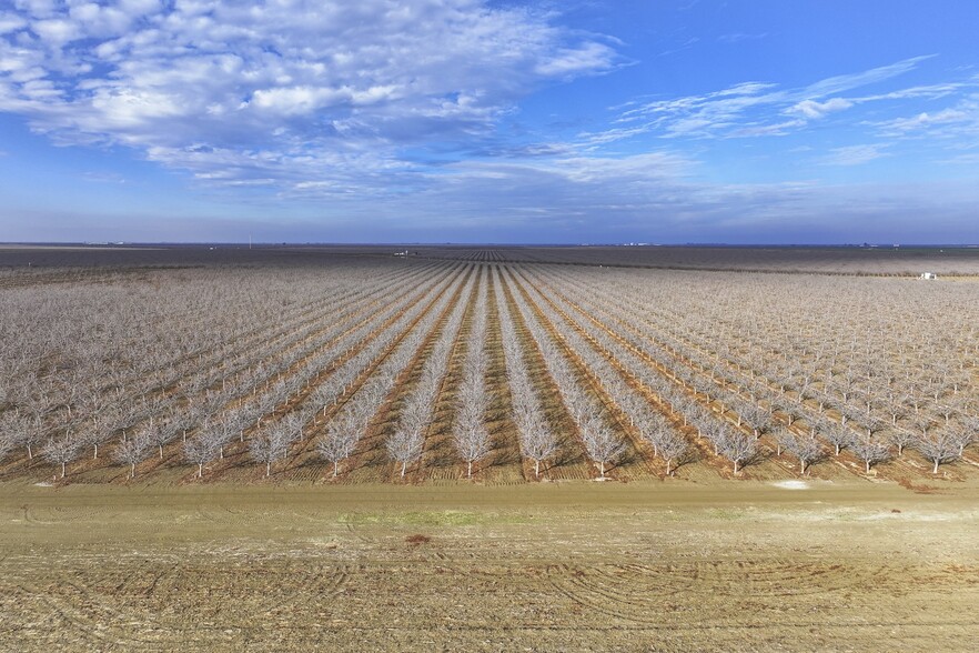 +/-193.88 Acres – Pistachios, Helm, CA for sale - Building Photo - Image 3 of 9