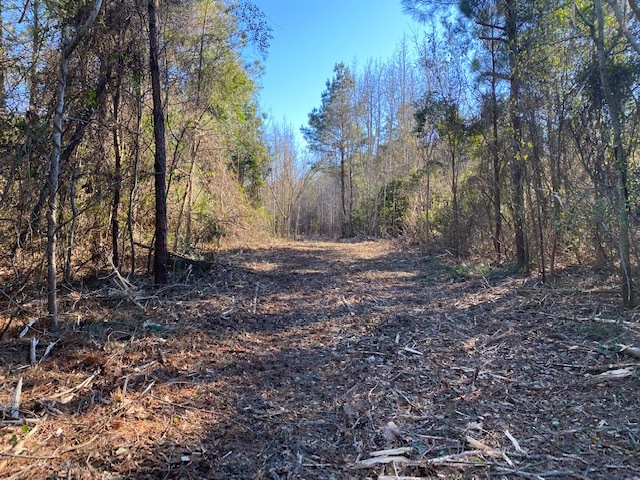 Fisher Landing Rd, Jarvisburg, NC à vendre - Photo du b timent - Image 2 de 18